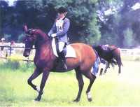 Le bien être dans la discipline. Formation du débutant et du compétiteur dans les 3 disciplines Olympiques